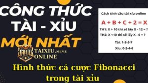 Công Thức Fibonacci Tài Xỉu Là Gì Và Cách Thức Áp Dụng